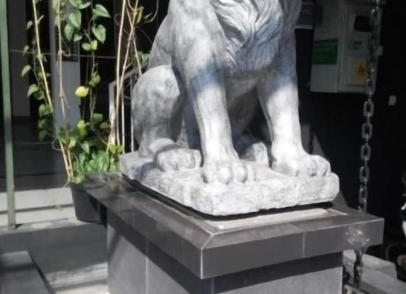 Other Photo