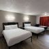 Motel 6-Orange, CA - Anaheim room with two beds, wood-look floors, and a window in Orange