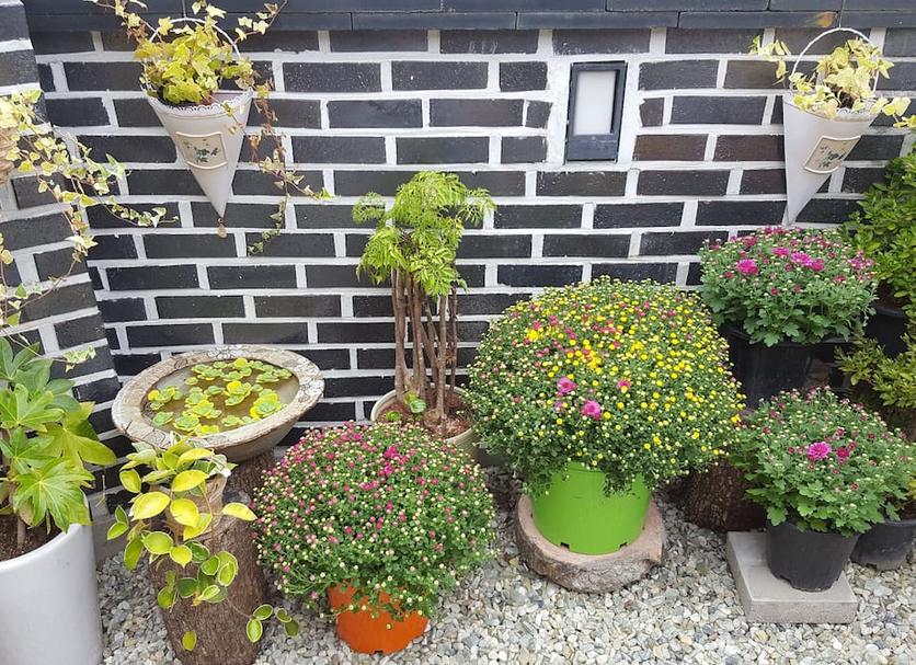 Outdoors view Photo