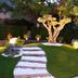 Outdoors view