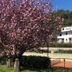 Outdoors view