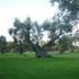 Outdoors view