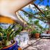Locanda Degli Agrumi in Conca Dei Marini with sea-view terrace, pergola, and outdoor dining tables