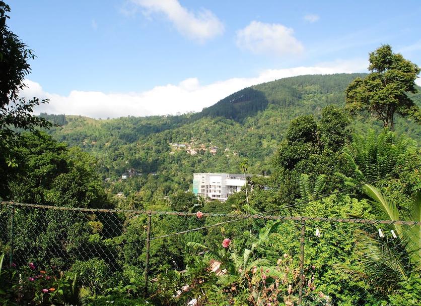 Outdoors view Photo