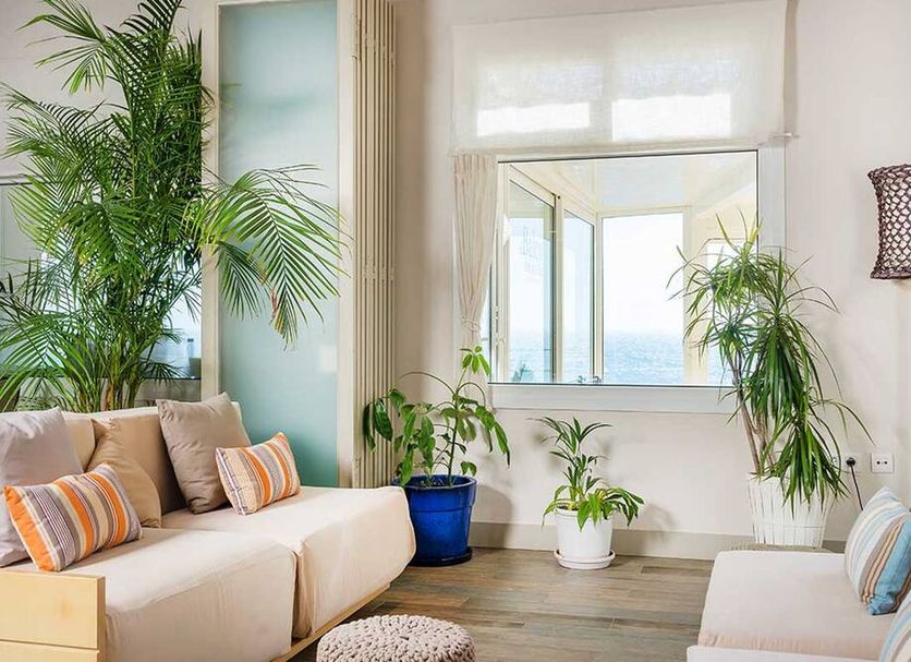 Hotel Sant Roc in Calella de Palafrugell lounge with sea view and potted plants