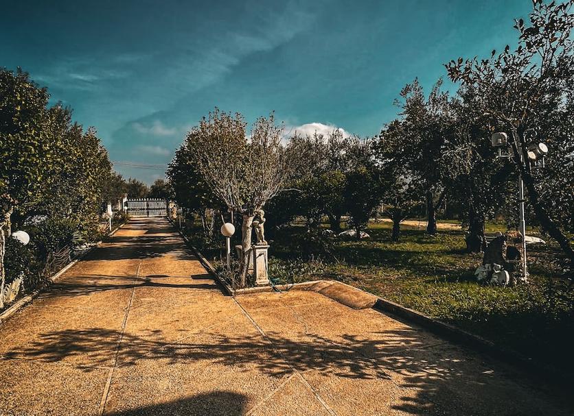 Outdoors view Photo