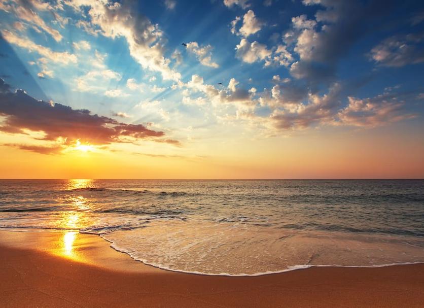 Beach Photo