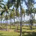 Outdoors view