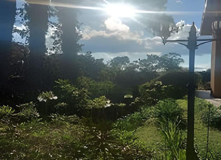 Outdoors view Photo