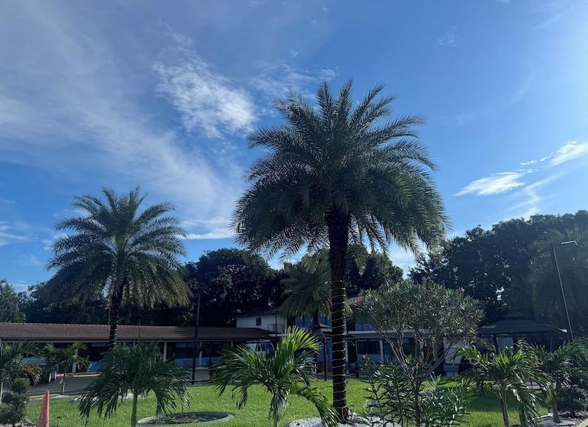 Outdoors view Photo