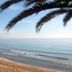 Hotel Noto Marina Vista Mare in Noto with beach and calm sea view framed by palm fronds