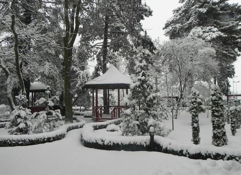 Outdoors view Photo