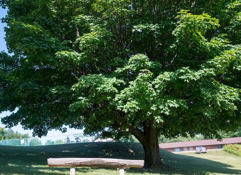 Outdoors view Photo