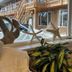 Inn at the Sea in Long Beach guest room with window view of seaside walkway and shell decor
