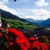 Outdoors view