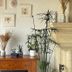 Hôtel Le Mas del Pechs in Sarlat-la-Canéda, cozy room with potted plants and a decorative bird sculpture