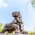 Beifang Langyue Hotel (Beijing Ganjiakou) in Beijing, with a large stone lion statue outdoors