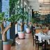 Stamba Hotel Tbilisi dining room with potted trees, tufted banquette seating and large pendant lights
