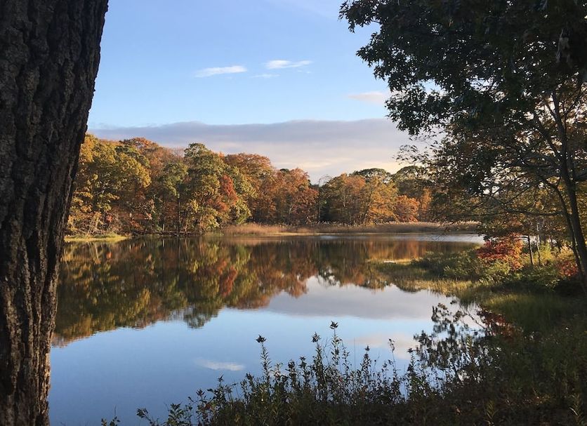 Outdoors view Photo
