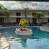 Hotel Plaza Palenque pool courtyard with palm trees and loungers in Palenque