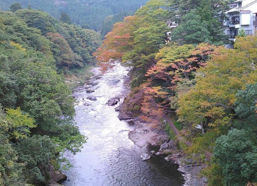 Other Photo