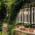 Hotel Waldesruh Am See in Aumühle with ivy-covered terrace, outdoor seating and stone steps