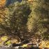 Dunsmuir Lodge in Dunsmuir with a wooded creekside and autumn foliage