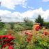Outdoors view