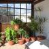 Outdoors view