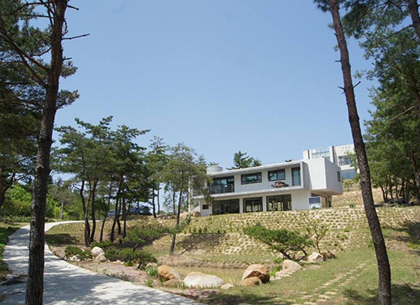 Other Photo