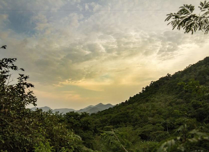 Outdoors view Photo