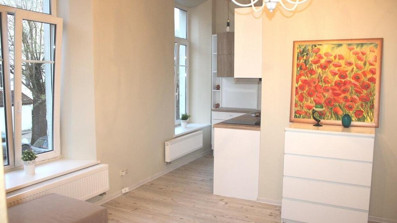 Igo apartment Uzupis
