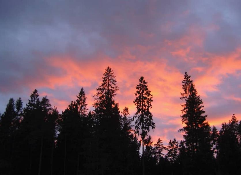 Outdoors view Photo