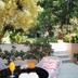 Outdoors view