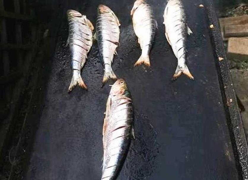 Other Photo