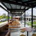 The Waterloo Bay Hotel in Brisbane with shaded outdoor seating, picnic tables and grassy courtyard