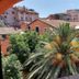 Youroom Corsini Rome rooftop view of palm trees and terracotta buildings
