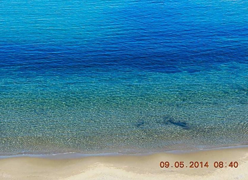 Beach Photo