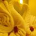 Swiss Hotel Heritage Boutique Melaka in Malacca, towel swans with red rose petals on a bed