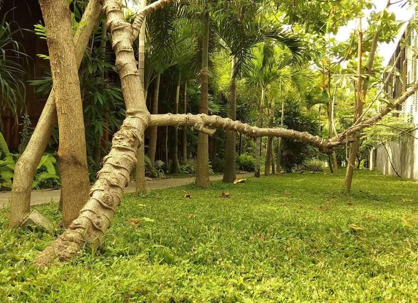 Outdoors view Photo