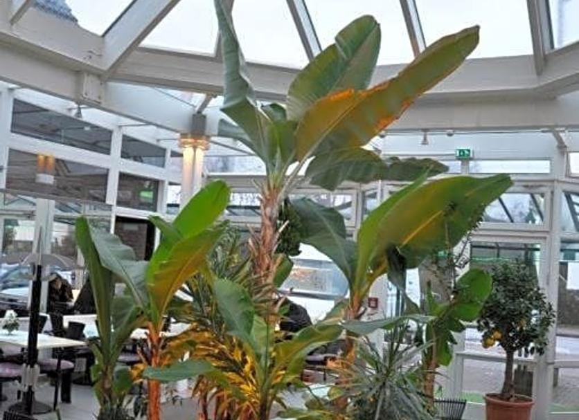 Outdoors view Photo