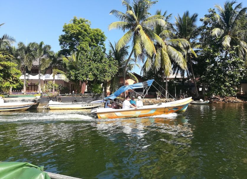 Haus Berlin Bentota riverside boat on calm water with palm trees and tropical shoreline