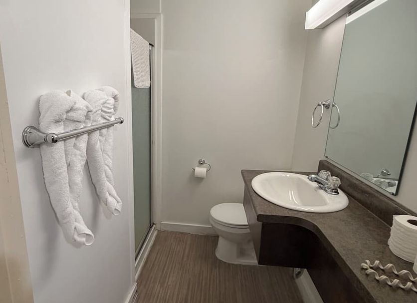 Lake-Vu Motel Kenora bathroom with sink, toilet, shower and towel rack