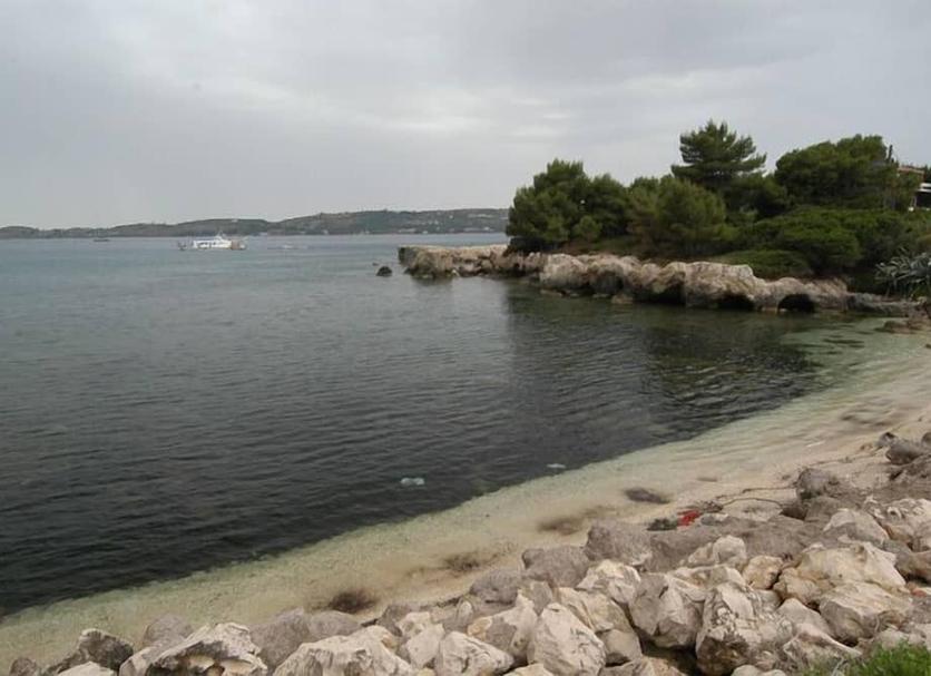 Other Photo
