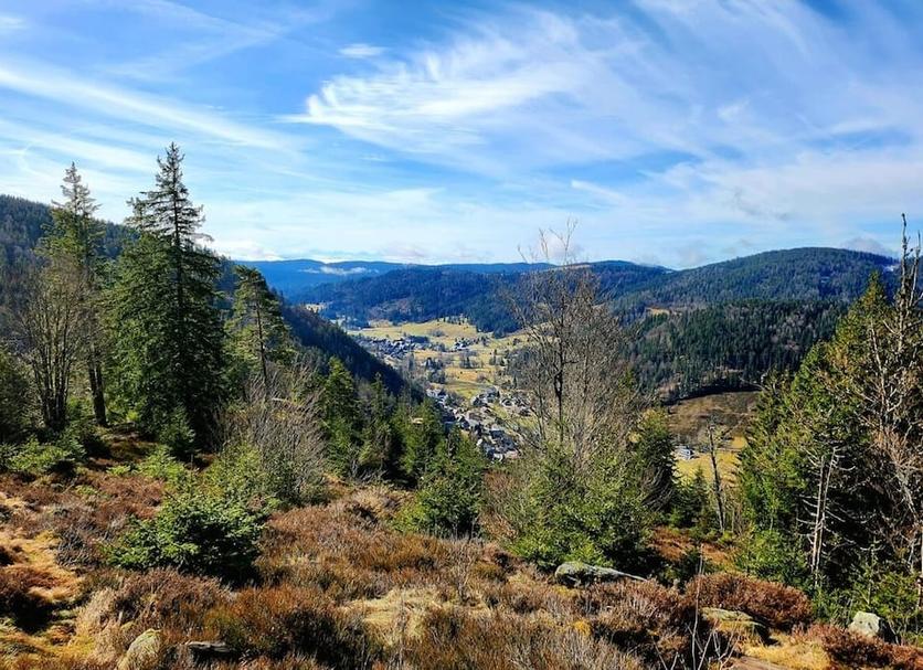 Outdoors view Photo