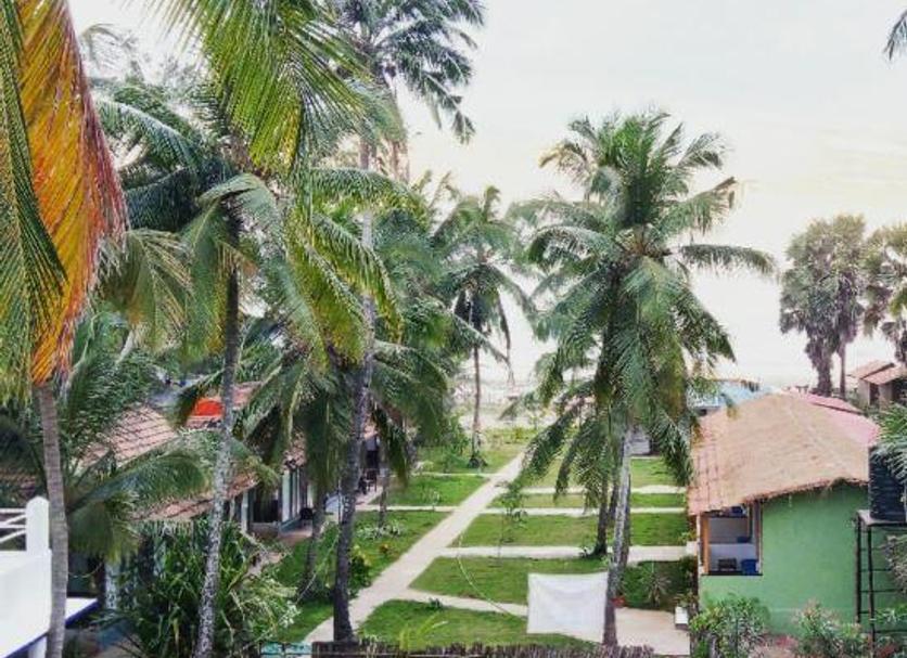 Outdoors view Photo
