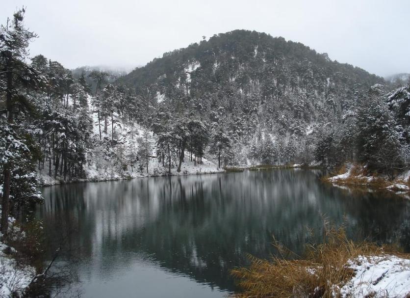 Outdoors view Photo