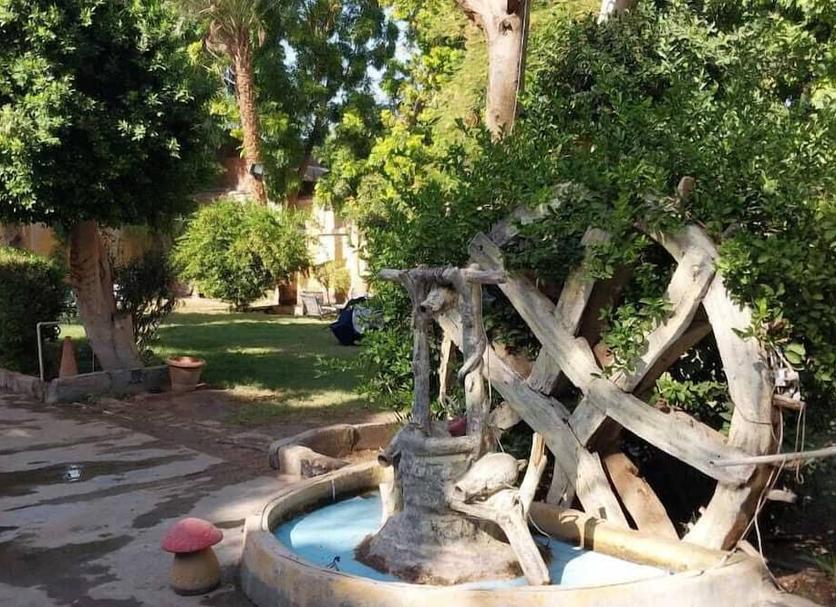 Other Photo