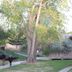 Outdoors view