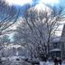 The Marquette Hotel in Madison on a snowy street lined with bare trees and houses